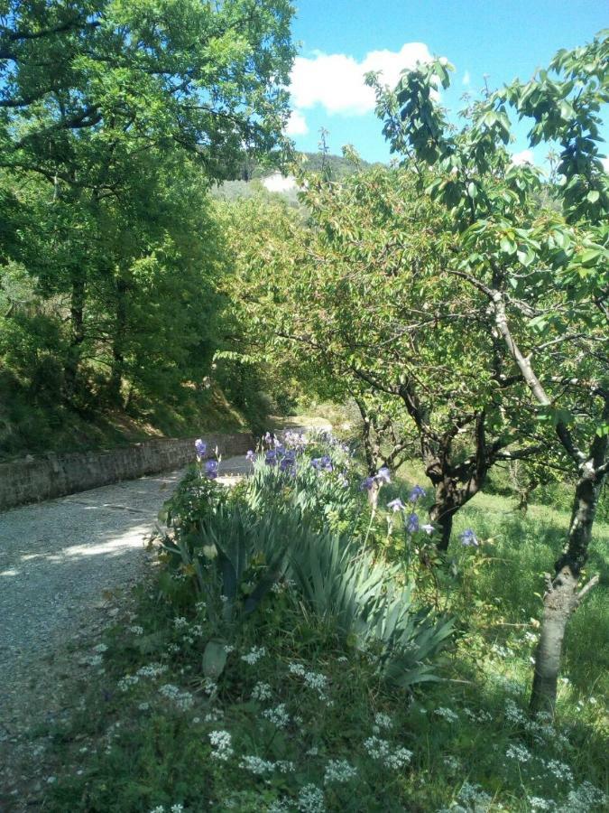 Villa Desiderio Tuscany ปิสโตยา ภายนอก รูปภาพ